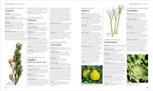 Load image into Gallery viewer, Encyclopedia of Herbal Medicine New Edition: 560 Herbs and Remedies for Common Ailments BKS