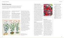Load image into Gallery viewer, Encyclopedia of Herbal Medicine New Edition: 560 Herbs and Remedies for Common Ailments BKS