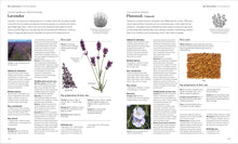 Load image into Gallery viewer, Encyclopedia of Herbal Medicine New Edition: 560 Herbs and Remedies for Common Ailments BKS