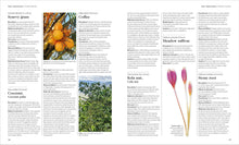 Load image into Gallery viewer, Encyclopedia of Herbal Medicine New Edition: 560 Herbs and Remedies for Common Ailments BKS