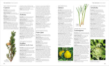 Load image into Gallery viewer, Encyclopedia of Herbal Medicine New Edition: 560 Herbs and Remedies for Common Ailments BKS
