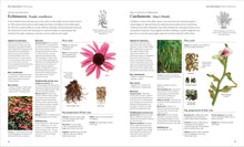 Load image into Gallery viewer, Encyclopedia of Herbal Medicine New Edition: 560 Herbs and Remedies for Common Ailments BKS