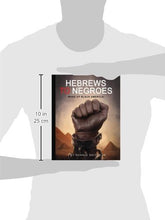 Load image into Gallery viewer, HEBREWS TO NEGROES: WAKE UP BLACK AMERICA! BKS