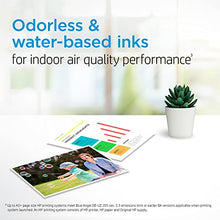 Load image into Gallery viewer, HP 67 Black/Tri-color Ink Cartridges (2 Count - Pack of 1) | Works with HP DeskJet 1255, 2700, 4100 Series, HP ENVY 6000, 6400 Series | Eligible for Instant Ink | 3YP29AN BTC
