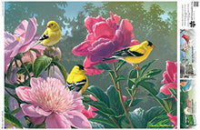 Load image into Gallery viewer, Buffalo Games - Hautman Brothers - Peony Party - 1000 Piece Jigsaw Puzzle Puz