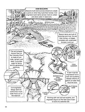 Load image into Gallery viewer, My First Book About Engineering: An Awesome Introduction to Robotics & Other Fields of Engineering (Dover Science For Kids Coloring Books) BKS