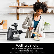 Load image into Gallery viewer, Ninja JC101 Cold Press Pro Compact Powerful Slow Juicer with Total Pulp Control & Easy Clean, Graphite (Renewed), BLACK, 13.78 in Lx6.89 in Wx14.17 in H JUC