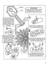 Load image into Gallery viewer, My First Book About Genetics (Dover Science For Kids Coloring Books) BKS