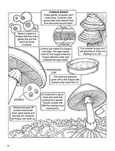 Load image into Gallery viewer, My First Book About Genetics (Dover Science For Kids Coloring Books) BKS
