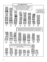 Load image into Gallery viewer, My First Book About Genetics (Dover Science For Kids Coloring Books) BKS