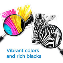 Load image into Gallery viewer, HP 67 Black/Tri-color Ink Cartridges (2 Count - Pack of 1) | Works with HP DeskJet 1255, 2700, 4100 Series, HP ENVY 6000, 6400 Series | Eligible for Instant Ink | 3YP29AN BTC