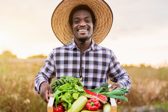 Eliminating Food Insecurity- The Staple Goods Project