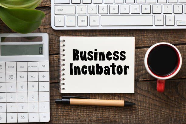 The Role Business Incubators Play in Entrepreneurship Development