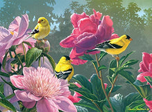 Load image into Gallery viewer, Buffalo Games - Hautman Brothers - Peony Party - 1000 Piece Jigsaw Puzzle Puz
