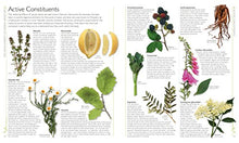 Load image into Gallery viewer, DK Encyclopedia of Herbal Medicine: 550 Herbs Loose Leaves and Remedies for Common Ailments BKS
