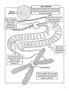 My First Book About Genetics (Dover Science For Kids Coloring Books) BKS