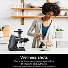 Load image into Gallery viewer, Ninja JC101 Cold Press Pro Compact Powerful Slow Juicer with Total Pulp Control &amp; Easy Clean, Graphite (Renewed), BLACK, 13.78 in Lx6.89 in Wx14.17 in H JUC
