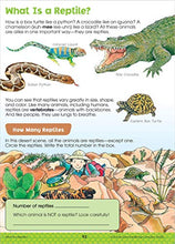 Load image into Gallery viewer, School Zone - Big Science Workbook - 320 Pages, Ages 7 to 9, 2nd Grade, 3rd Grade, Weather, Seeds, Plants, Insects, Mammals, Ocean Life, Birds, and More (School Zone Big Workbook Series) BKS
